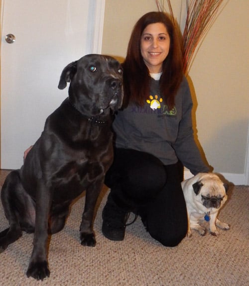 Sublime K9 Dog Training Top Rated Dog Trainer on Long Island