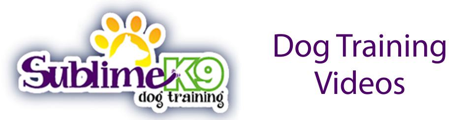 long island dog training videos