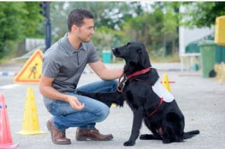 online dog trainer certification course